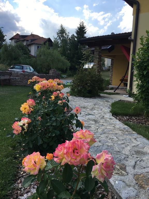Omiljeni Apartments Zlatibor Eksteriør billede