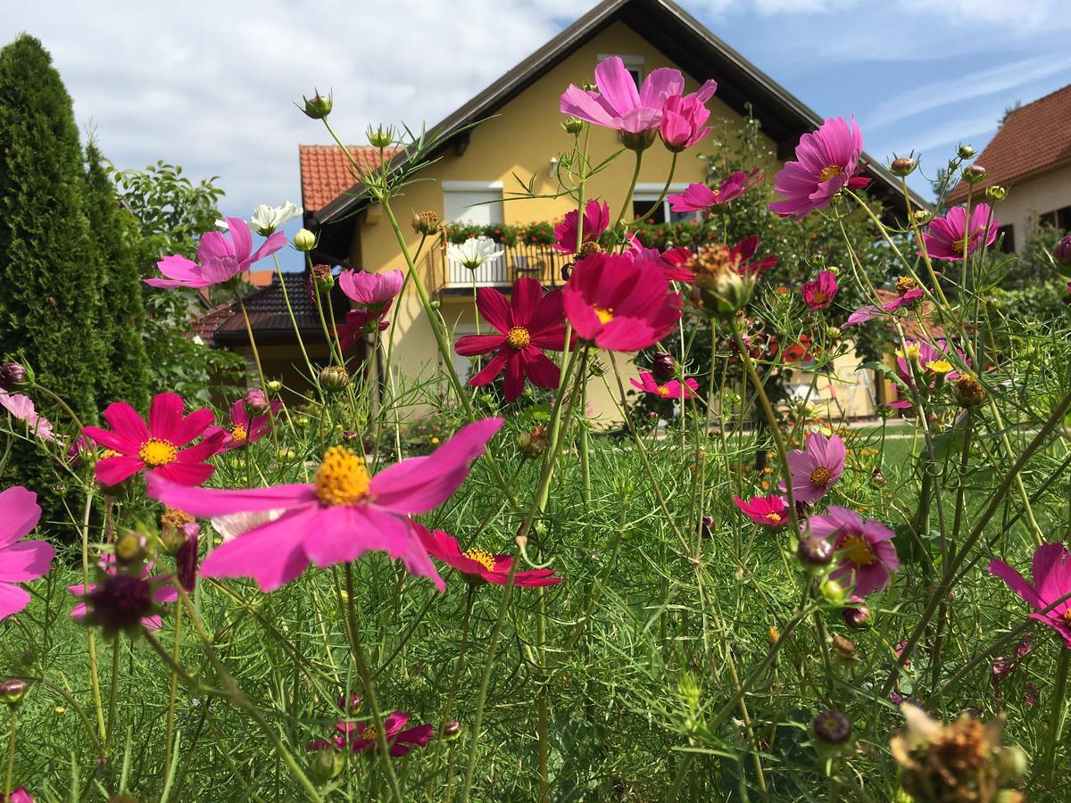 Omiljeni Apartments Zlatibor Eksteriør billede